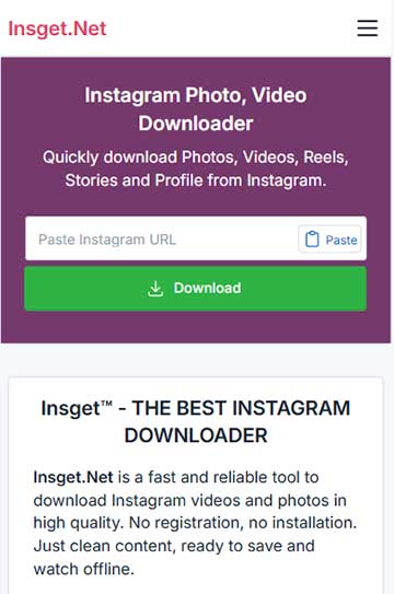 启动任何浏览器并访问 Insget.net。