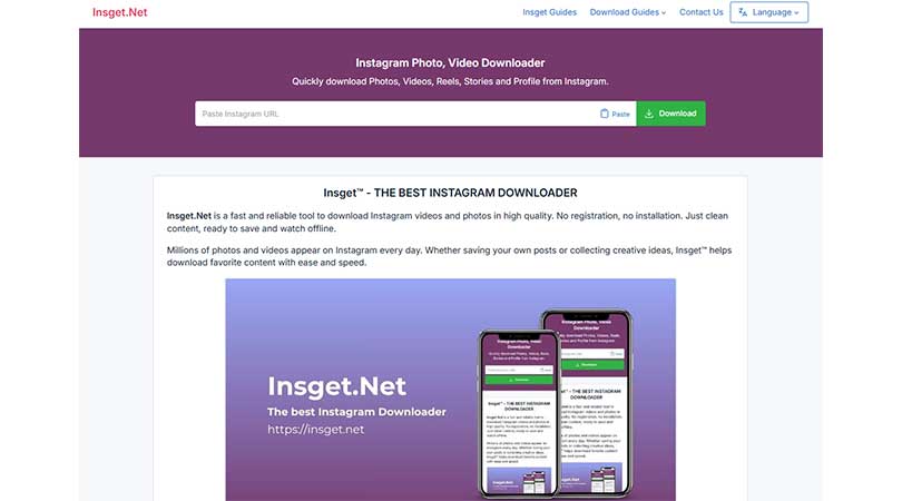 打开一个新的浏览器标签页并输入 Insget.net。